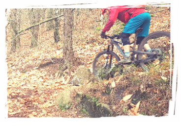 MTB Buntsandstein Pfälzerwald