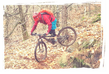 MTB Buntsandstein Pfälzerwald
