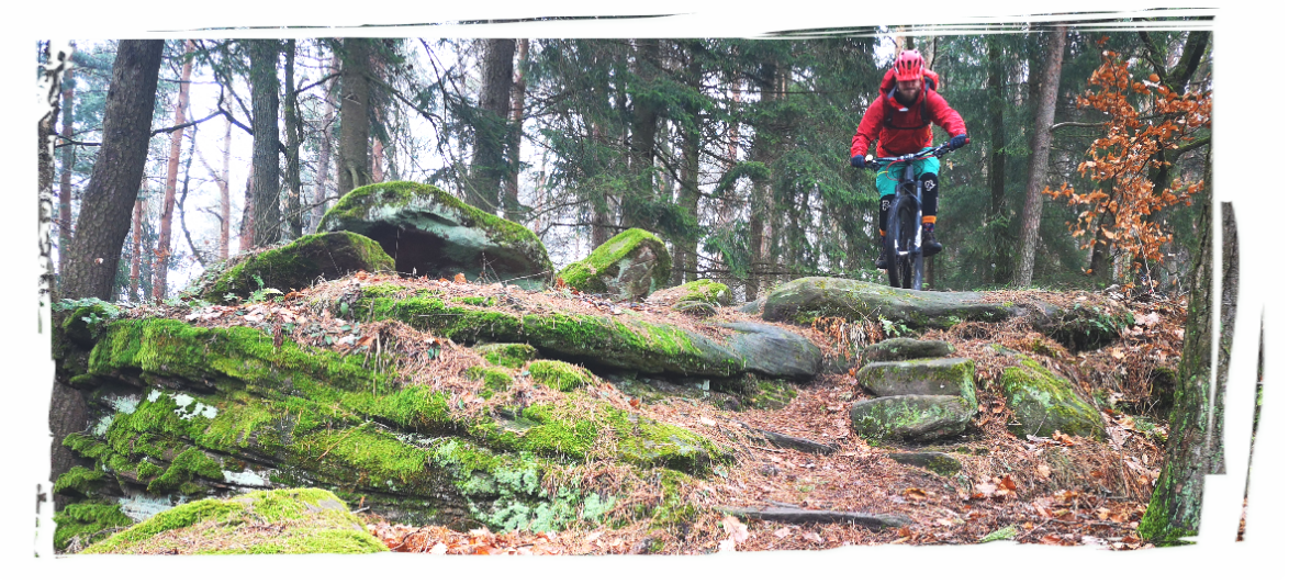 MTB Buntsandstein Pfälzerwald