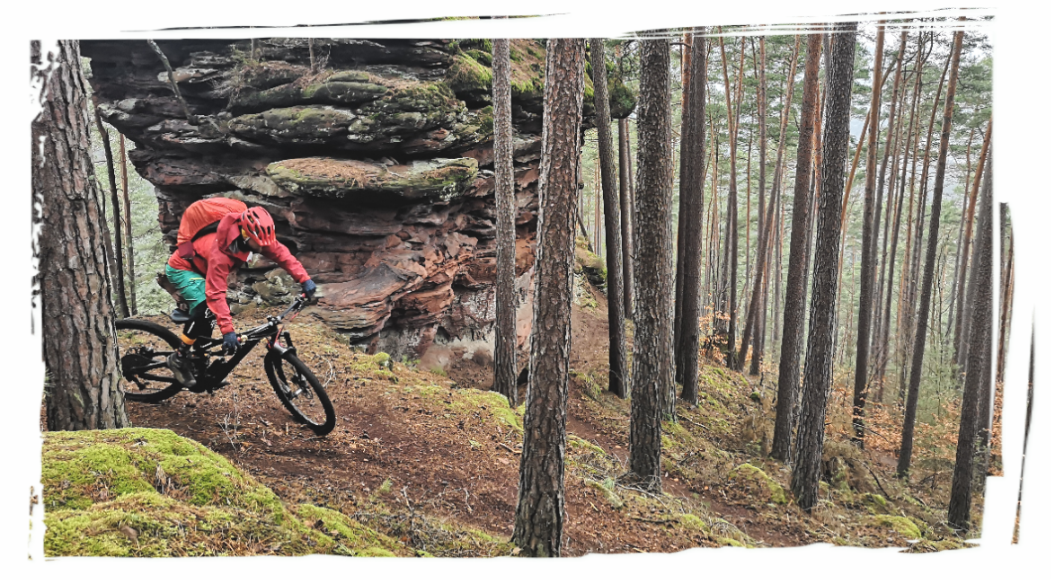 MTB Buntsandstein Pfälzerwald