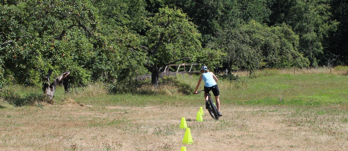 MTB Buntsandstein Pfälzerwald