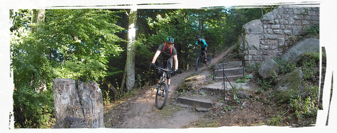 MTB Buntsandstein Pfälzerwald
